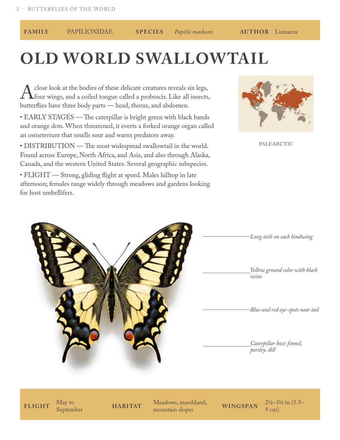Interior page — comparative specimen layout